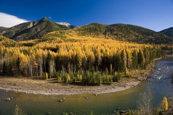 Middle Fork of the Flathead River in autumn near Essex Montana