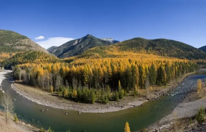 Framed Print : Middle Fork of the Flathead River in autumn near Essex Montana Framed Print : Middle Fork of the Flathead River in autumn near Essex Montana