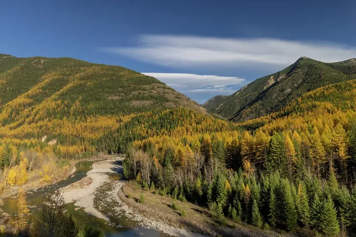 Framed Print : Middle Fork Flathead River with Scalplock Mountain in autumn in Glacier National Park, Montana, USA