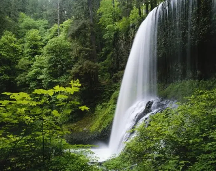 Framed Print : Middle North falls, Silver Falls State Park, Oregon, USA