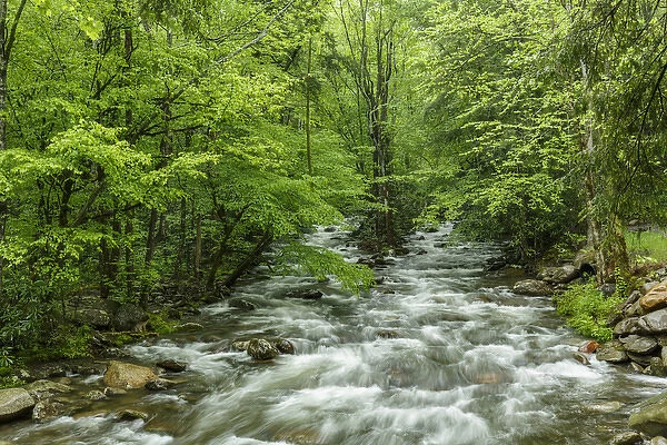 Middle Prong in spring, Great Smoky Mountains National Park, Tennessee