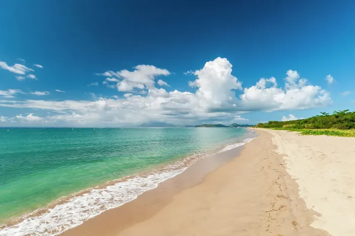 Framed Print : The miles long Pinney's Beach fronting the Caribbean Sea. Nevis, Saint Kitts and Nevis, West Indies Framed Print : The miles long Pinney's Beach fronting the Caribbean Sea. Nevis, Saint Kitts and Nevis, West Indies