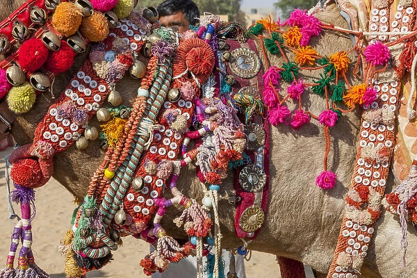 Military on decorated camels. Festival parade. Desert festival. Jaisalmer. Rajasthan