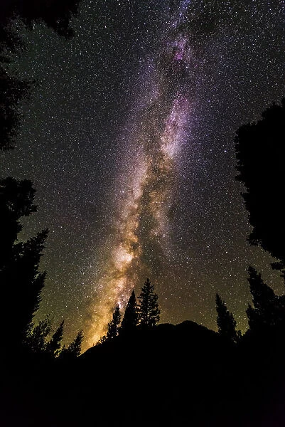The Milky Way over Lizard Head Pass, Uncompahgre National Forest, Colorado, USA