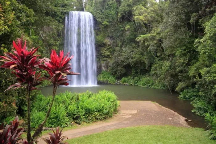 Framed Print : Millaa Millaa Falls is one of the iconic landscapes of far north Queensland and one