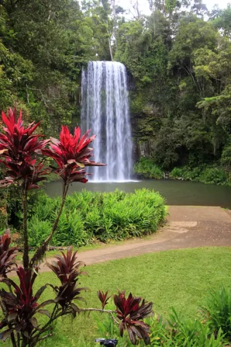 Framed Print : Millaa Millaa Falls is one of the iconic landscapes of far north Queensland and one