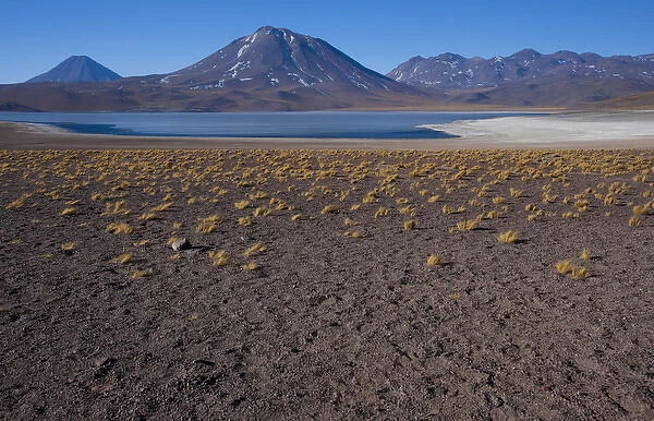 Miniques Lake is a brackish water lake located in the altiplano of the Antogafasta region of Chile