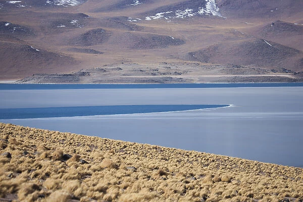 Miscanti Lake is a brackish water lake located in the altiplano of the Antogafasta region of Chile