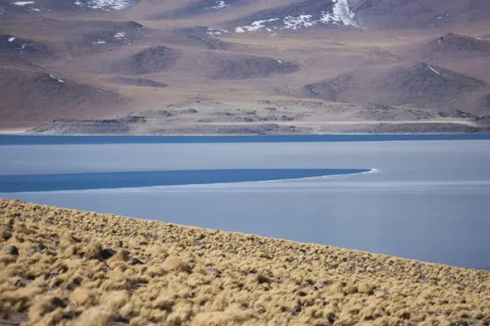 Framed Print : Miscanti Lake is a brackish water lake located in the altiplano of the Antogafasta region of Chile Framed Print : Miscanti Lake is a brackish water lake located in the altiplano of the Antogafasta region of Chile