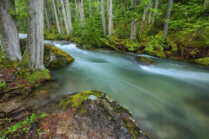 Framed Print : Mission Creek in the Mission Mountains Tribal Wilderness near St. Ignatius, Montana, USA. (Editorial Use Only) Framed Print : Mission Creek in the Mission Mountains Tribal Wilderness near St. Ignatius, Montana, USA. (Editorial Use Only)