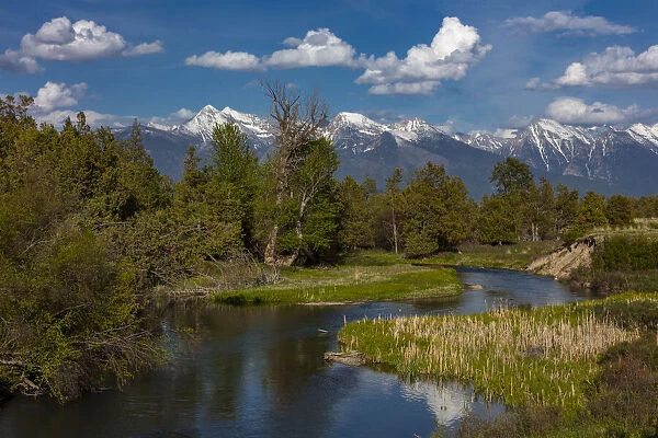 Mission Creek at the National Bison Range in Moiese, Montana, USA