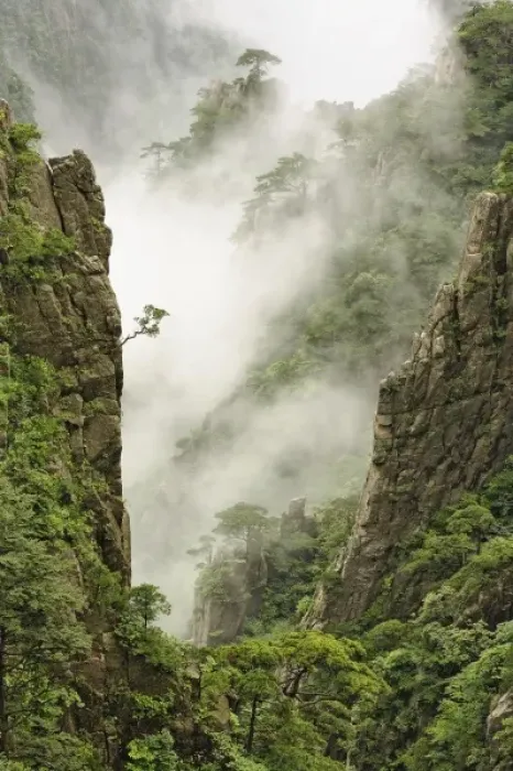Framed Print : Mist among the peaks and valleys of Grand Canyon in West Sea, Mt. Huang Shan or Yellow