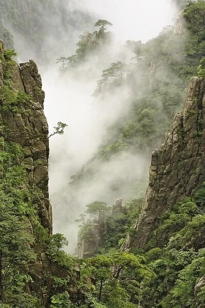 Mist among the peaks and valleys of Grand Canyon in West Sea, Mt. Huang Shan or Yellow