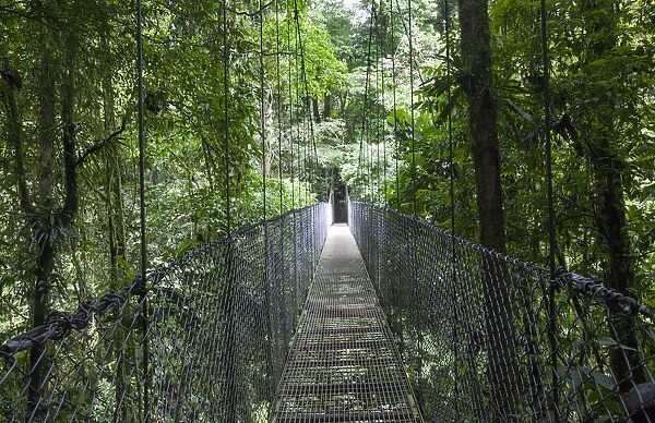 Mistico Arenal Hanging Bridges Park in Arenal, Costa Rica