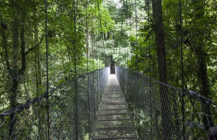 Framed Print : Mistico Arenal Hanging Bridges Park in Arenal, Costa Rica