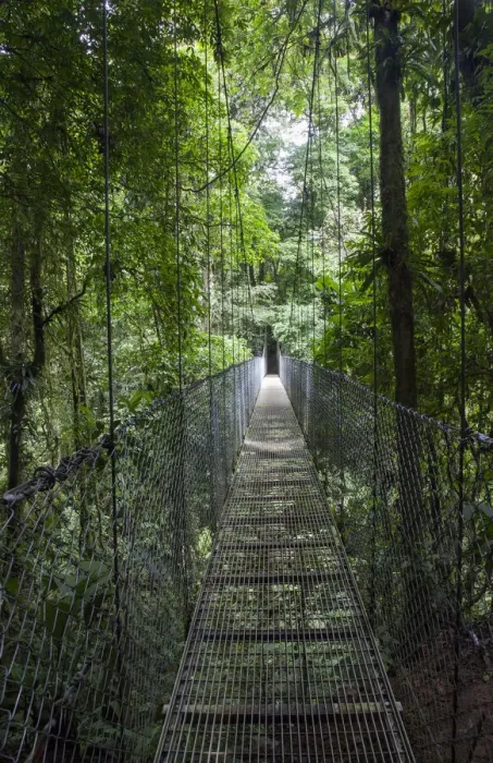Framed Print : Mistico Arenal Hanging Bridges Park in Arenal, Costa Rica Framed Print : Mistico Arenal Hanging Bridges Park in Arenal, Costa Rica