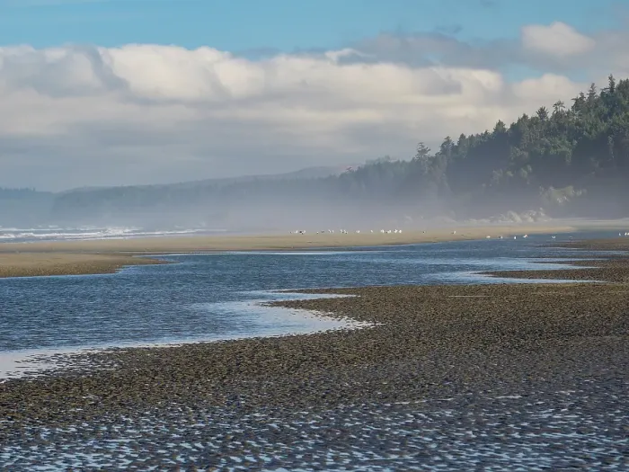 Framed Print : Misty beach, Olympic Peninsula, Washington State Framed Print : Misty beach, Olympic Peninsula, Washington State