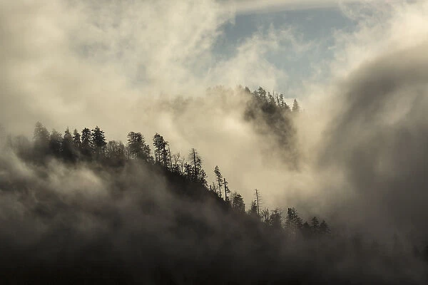 Misty Cloud filled valley from Morton Overlook, Great Smoky Mountains, National Park