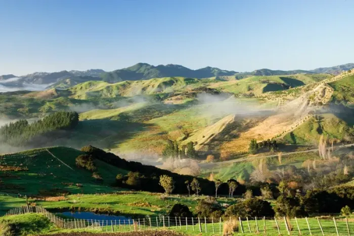 Framed Print : Misty Farmland near Martinborough, Wairarapa, North Island, New Zealand