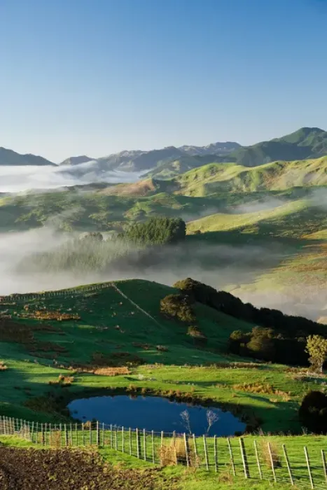 Framed Print : Misty Farmland near Martinborough, Wairarapa, North Island, New Zealand