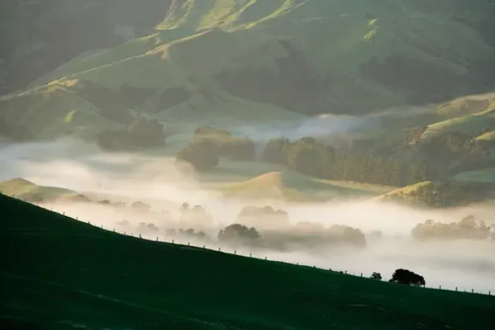 Framed Print : Misty Farmland near Martinborough, Wairarapa, North Island, New Zealand Framed Print : Misty Farmland near Martinborough, Wairarapa, North Island, New Zealand