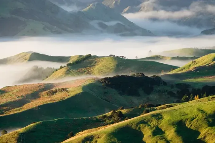 Framed Print : Misty Farmland near Martinborough, Wairarapa, North Island, New Zealand Framed Print : Misty Farmland near Martinborough, Wairarapa, North Island, New Zealand