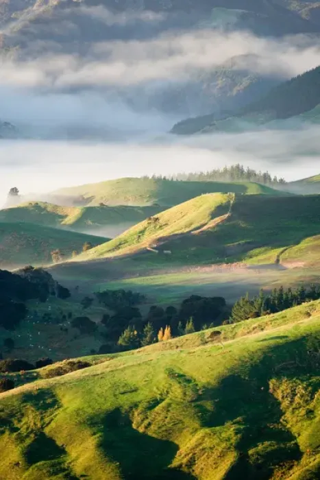 Framed Print : Misty Farmland near Martinborough, Wairarapa, North Island, New Zealand Framed Print : Misty Farmland near Martinborough, Wairarapa, North Island, New Zealand