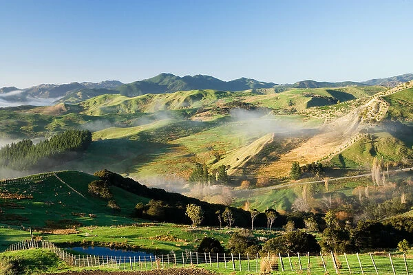 Misty Farmland near Martinborough, Wairarapa, North Island, New Zealand