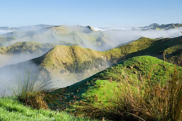 Misty Farmland by Wanganui - Raetihi Road, near Wanganui, North Island, New Zealand
