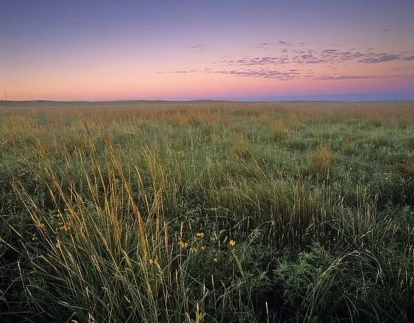 Mixed grass prairie at dawn at Fort Niobrara National Wildlife Refuge in Valentine