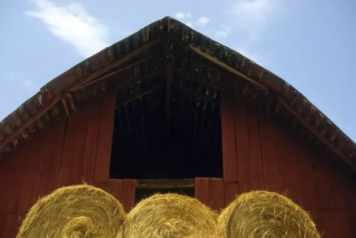 Framed Print : MO, Winona, detail of bales of hay in front of red barn (Ozarks)