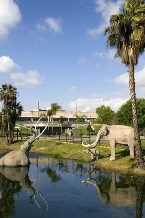 Framed Print : Models of mammoths at the La Brea Tar Pits in Hancock Park, Los Angeles, California, USA Framed Print : Models of mammoths at the La Brea Tar Pits in Hancock Park, Los Angeles, California, USA