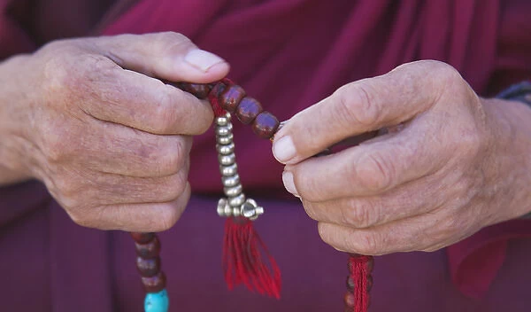 Monk praying with beads, Phyang Gompa, , Ladakh, India