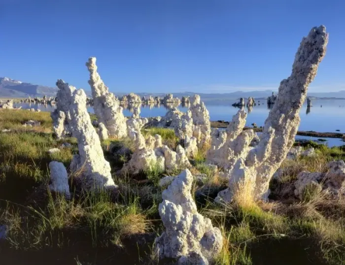 Framed Print : Mono Lake Reserve, California. USA. Tilting tufa columns & vegetation at seep along