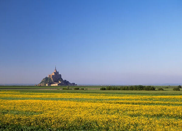 Mont Saint Michel, Normandy, France rape seed field