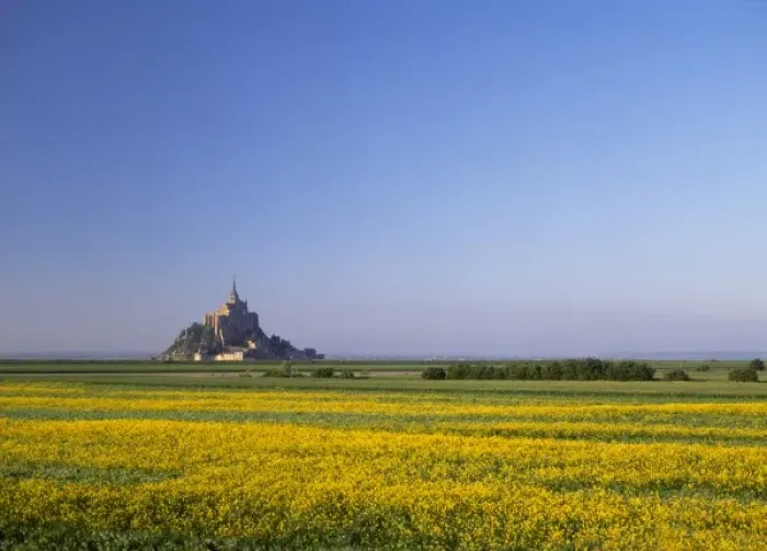 Framed Print : Mont Saint Michel, Normandy, France rape seed field