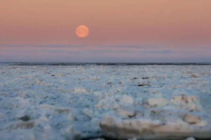 Framed Print : moon over the Arctic ocean during fall freeze up, off the coast of the 1002 coastal plain