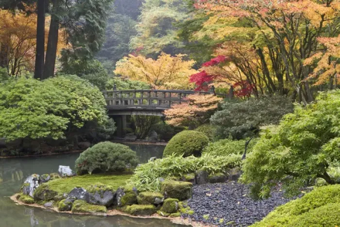 Framed Print : Moon bridge and autumn colors, Portland Japanese Garden, Oregon Framed Print : Moon bridge and autumn colors, Portland Japanese Garden, Oregon