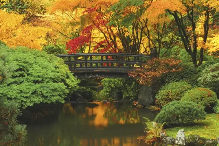 Framed Print : Moon Bridge in Autumn: Portland Japanese Garden, Portland, Oregon, USA