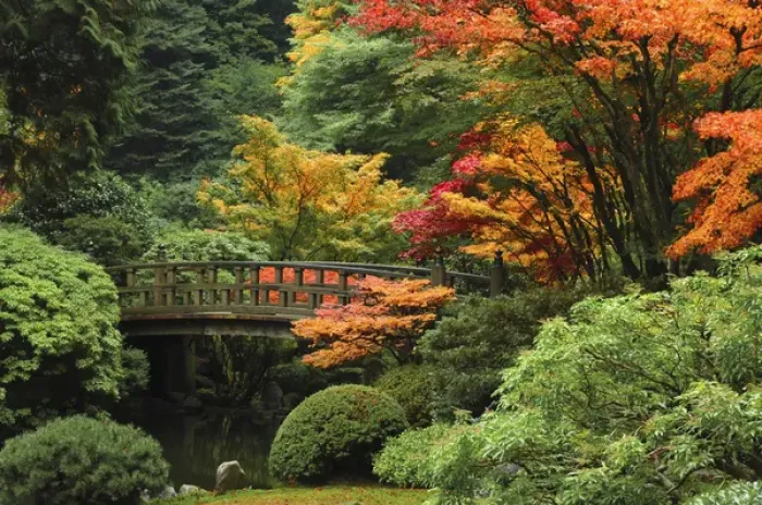 Framed Print : Moon Bridge in Autumn: Portland Japanese Garden; Portland; Oregon; USA