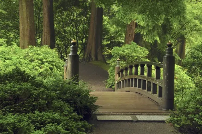 Framed Print : Moon Bridge after the Rain: Portland Japanese Garden, Portland, Oregon, USA