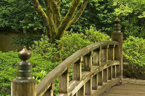 Moon Bridge, Strolling Garden, Portland Japanese Garden, Portland, Oregon, USA