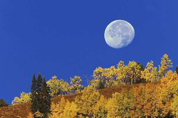 Moon setting at sunrise, Gunnison National Forest, near Gunnison, CO. (Not available