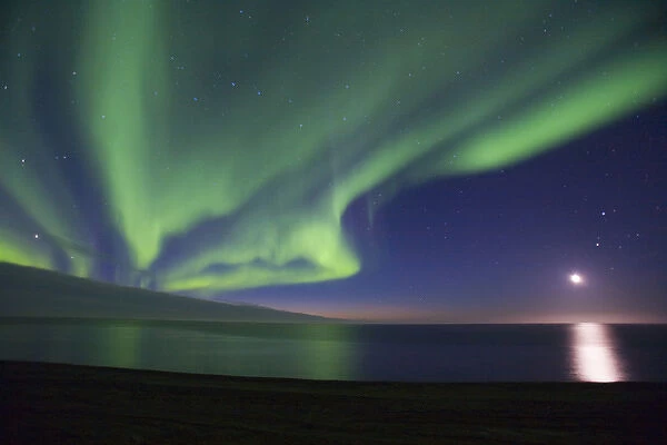 The moon shines down on the Arctic Ocean as curtains of green Aurora Borealis dance overhead