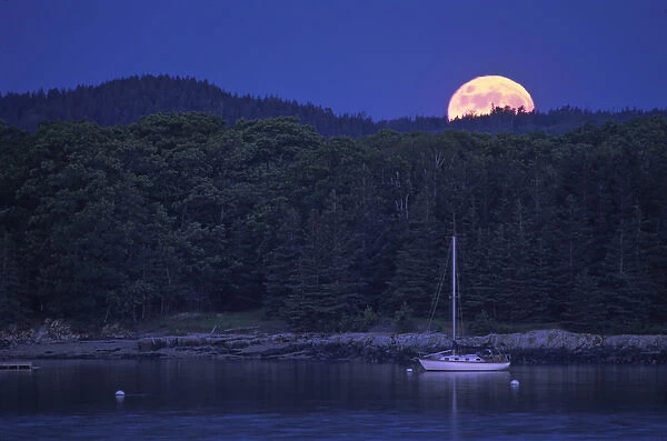 Moonrise Over Castine Harbor and Brooksville, Castine, Maine, US