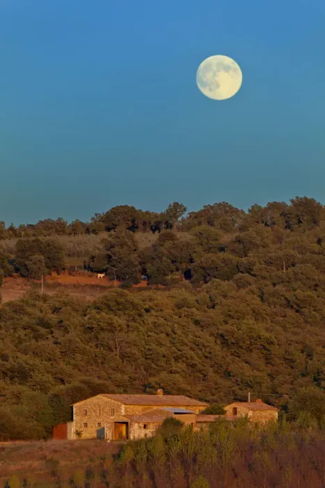 Framed Print : Moonrise at sunset, San Quirico d Orcia, Tuscany, Italy