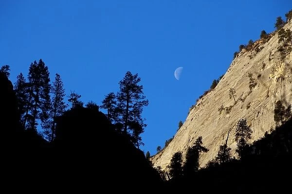 Moonset in Zion Canyon in Zion National Park in Utah