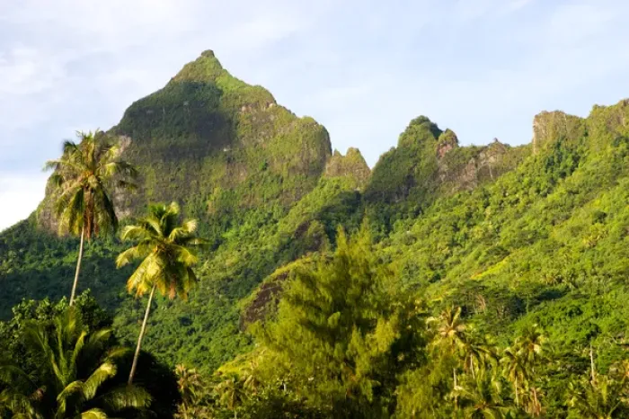 Framed Print : Moorea, French Polynesia Framed Print : Moorea, French Polynesia