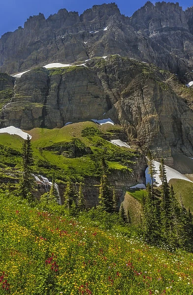 Morning Eagle Falls and summer wildflowers along Mount Gould in Glacier National Park