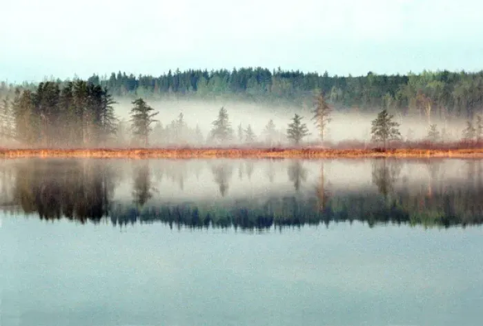 Framed Print : Morning fog in a bog of the BWCAW; Minnesota-Ontario